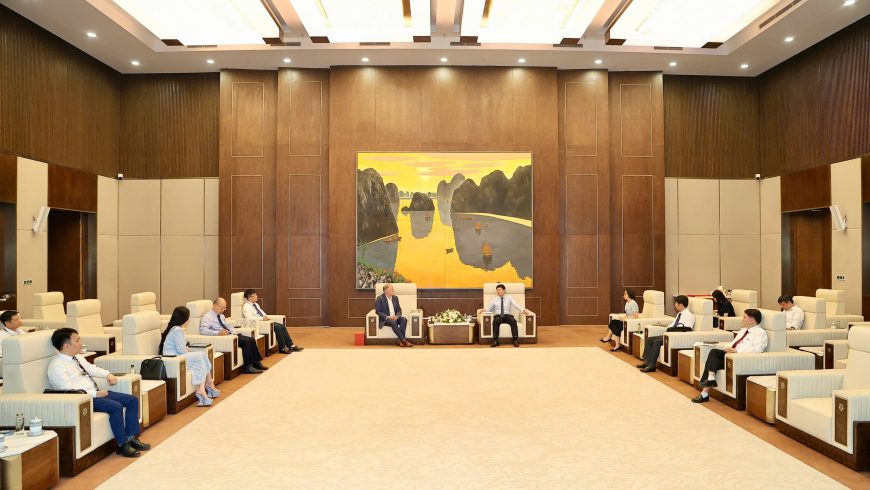 Vice Chairman of Hai Phong City People’s Committee Hoang Minh Cuong Receives Courtesy Visit from STC Group Delegation (The Netherlands)